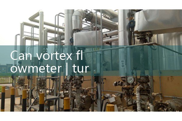 Vortex flowmeter